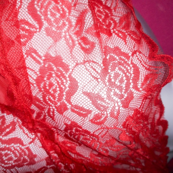 Red Rose Lace Mesh Stretchy Halter Bodysuit - Picture 5 of 6